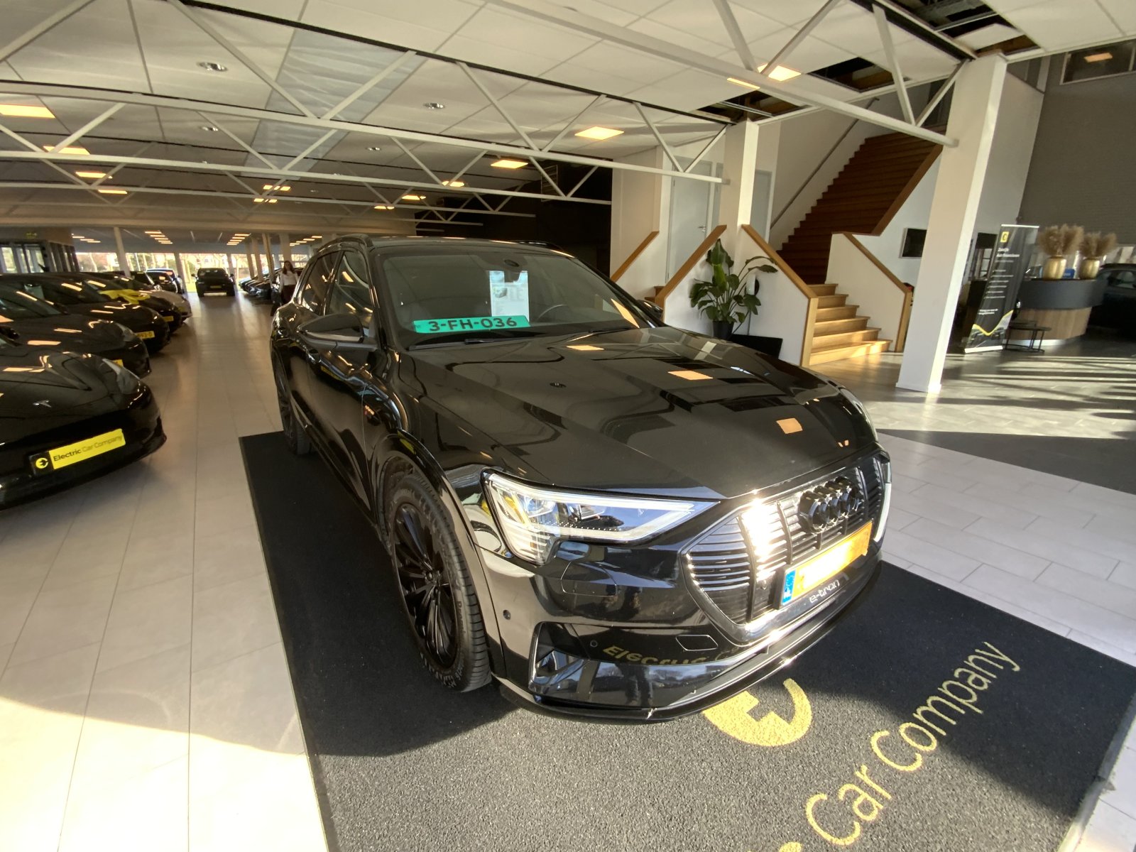 Inspectiefoto van Audi E-tron