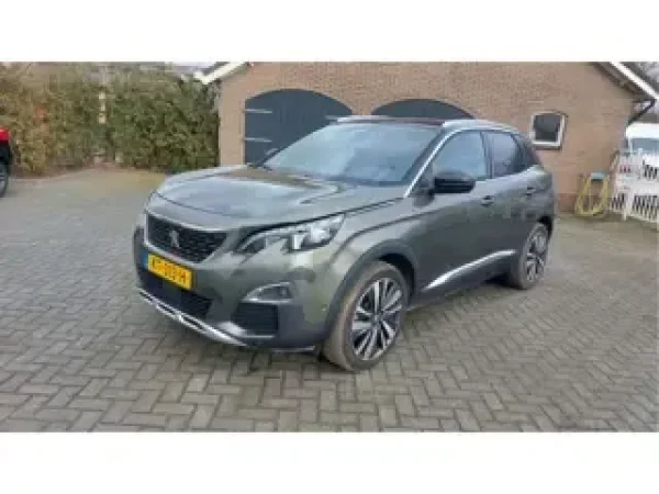 Foto van Peugeot 3008