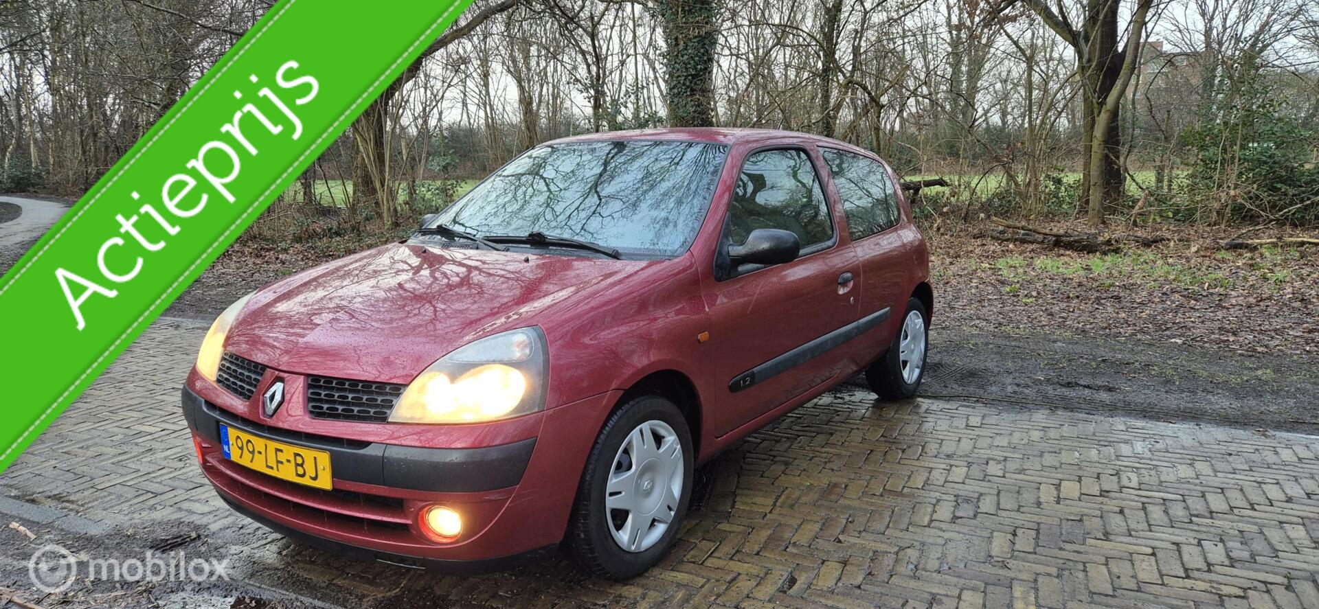Foto van RENAULT CLIO