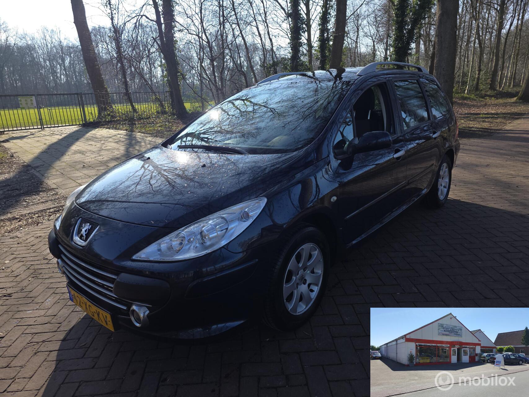 Foto van PEUGEOT 307
