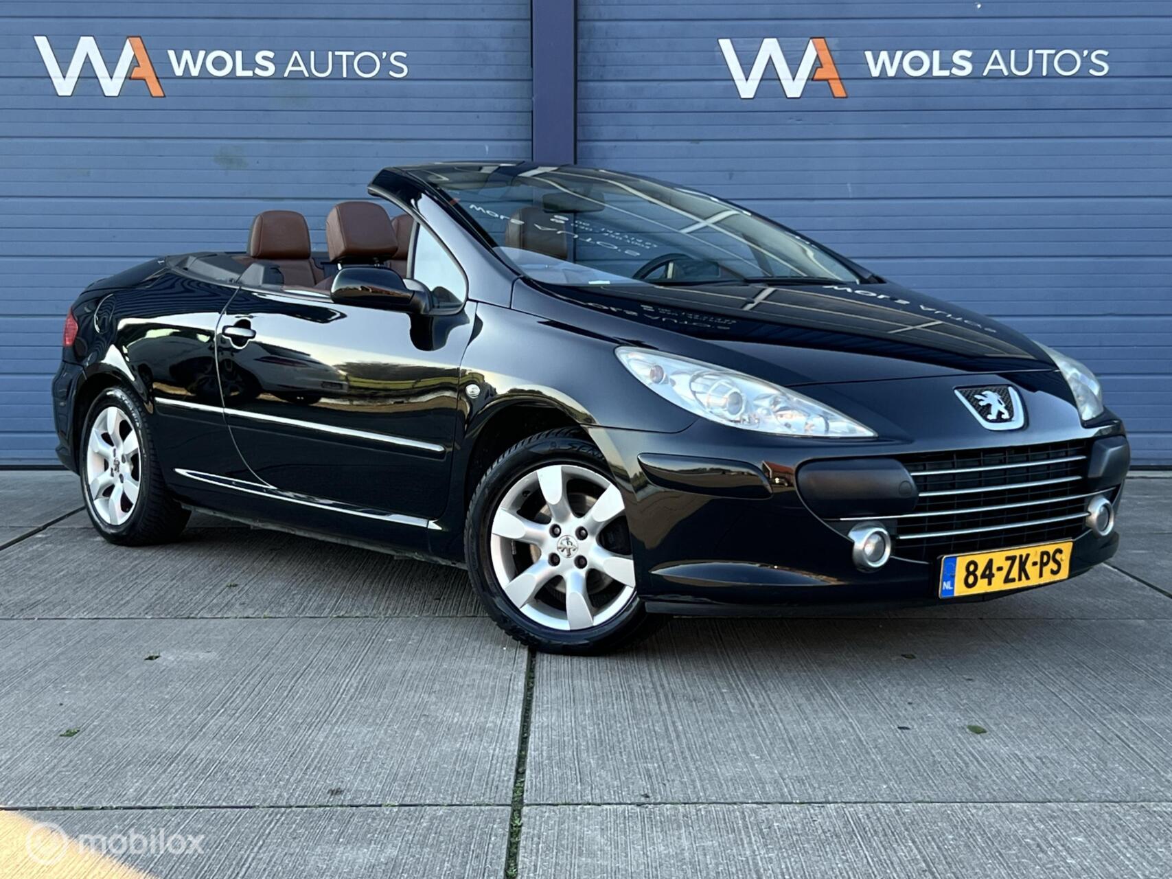 Foto van PEUGEOT 307