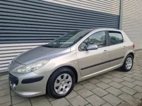 Foto van Peugeot 307