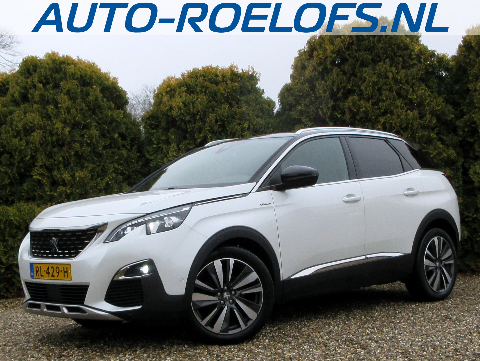 Foto van PEUGEOT 3008