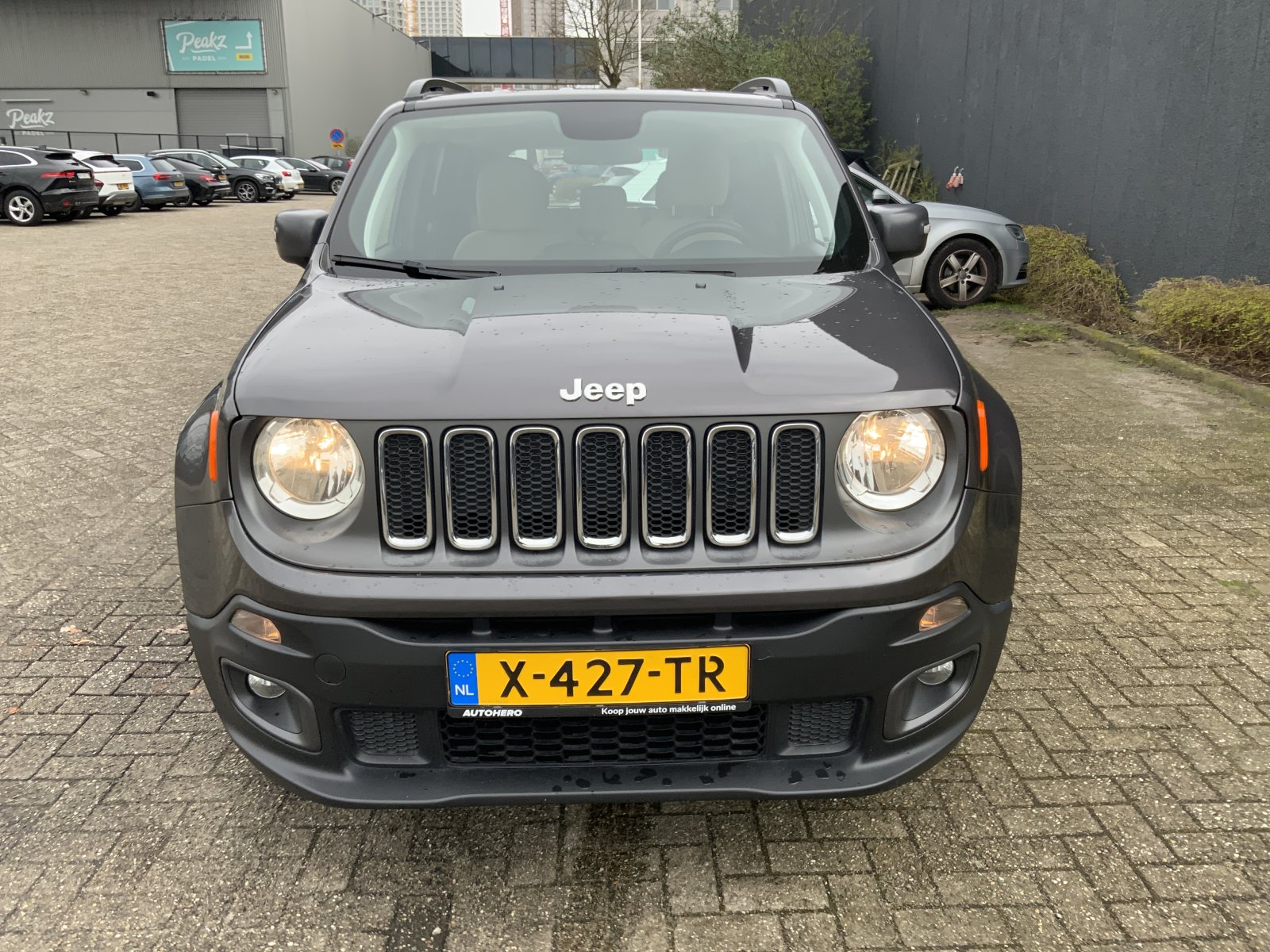 Inspectiefoto van Jeep Renegade
