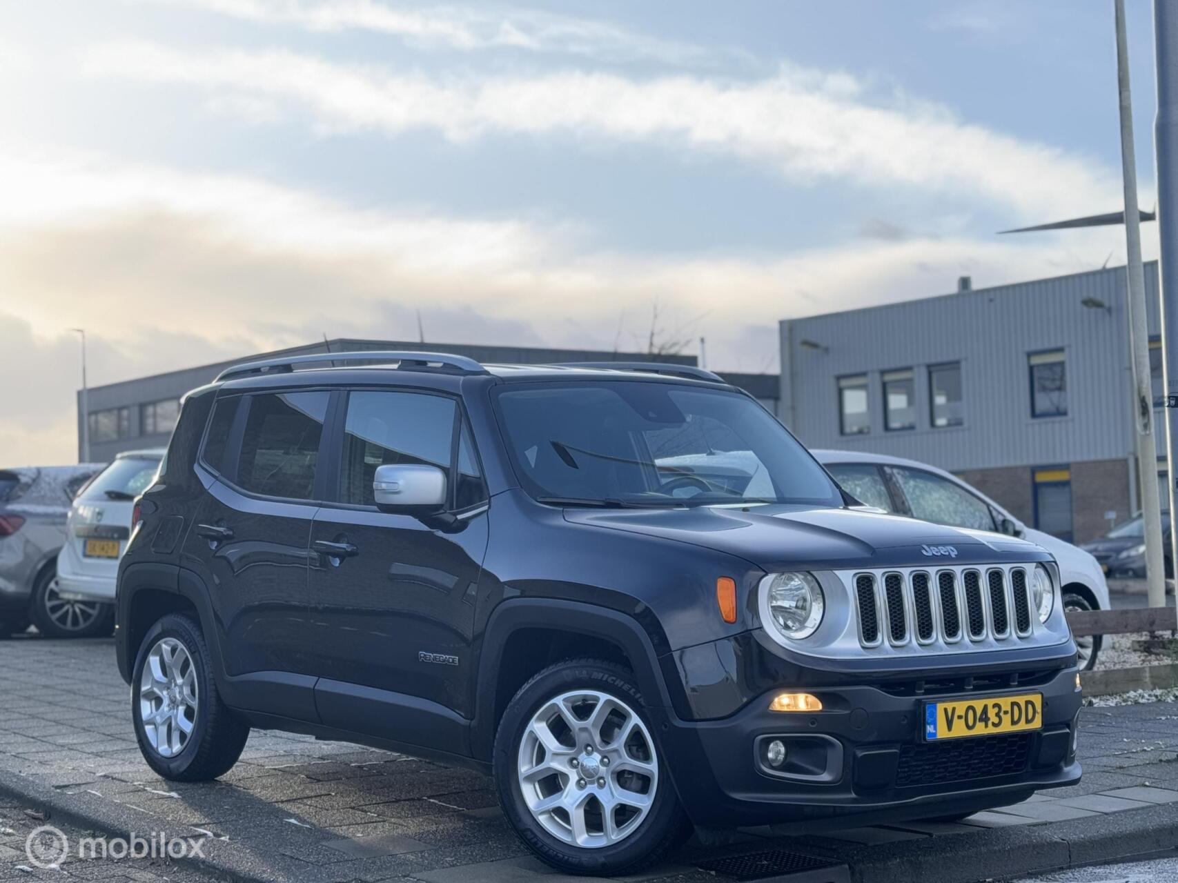 Foto van Jeep Renegade Van