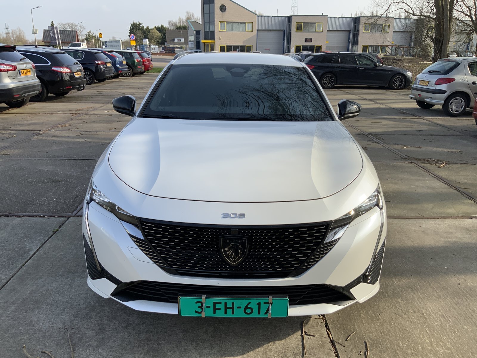 Inspectiefoto van Peugeot 308 SW