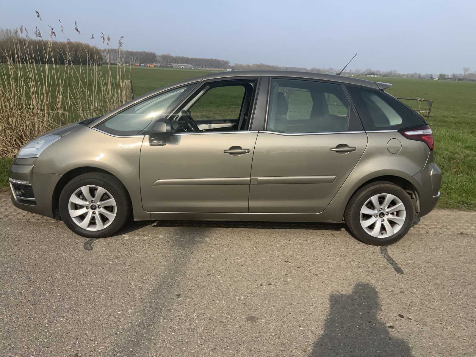 Inspectiefoto van Citroen C4 Picasso