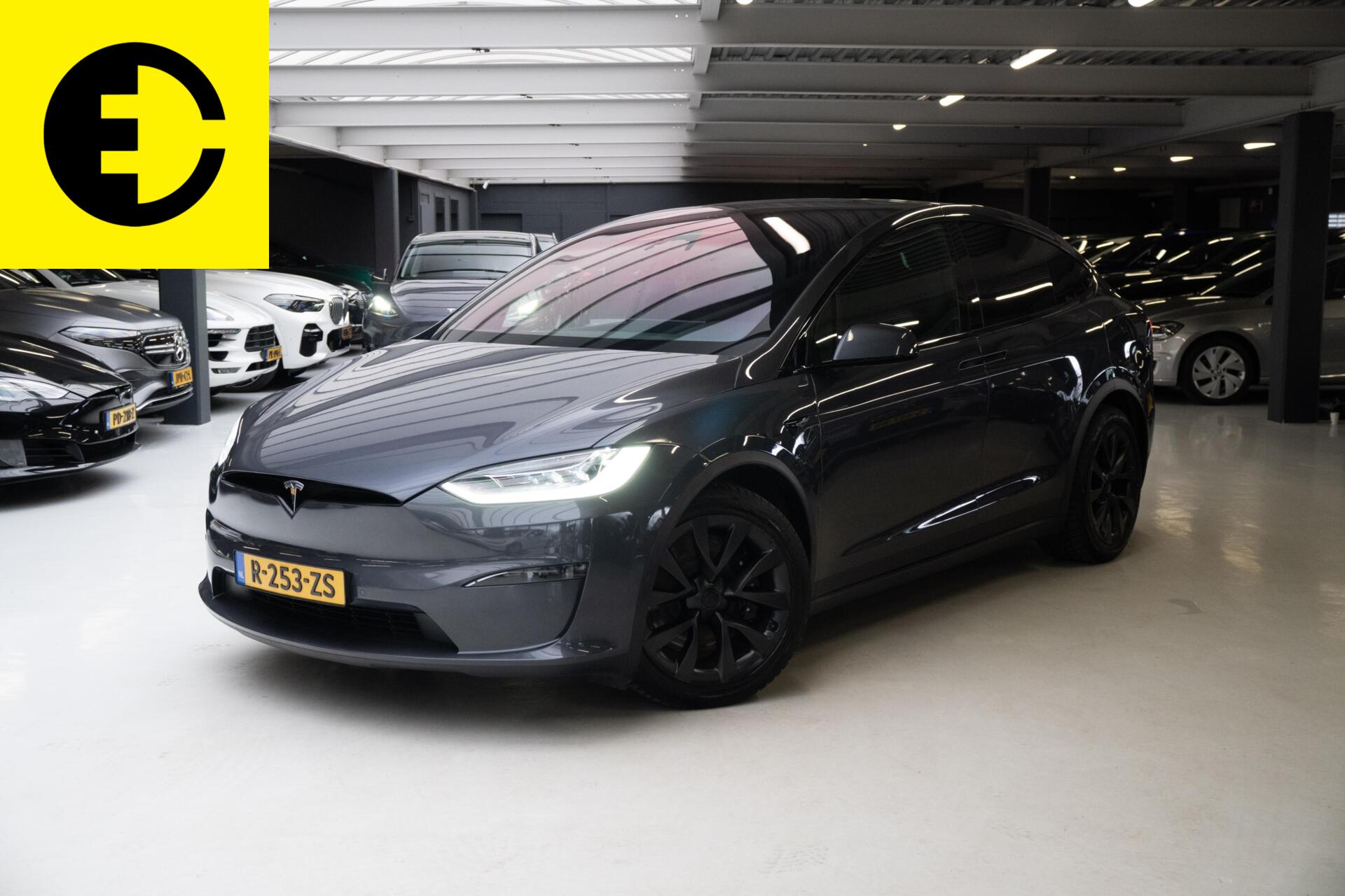 Foto van TESLA MODEL X