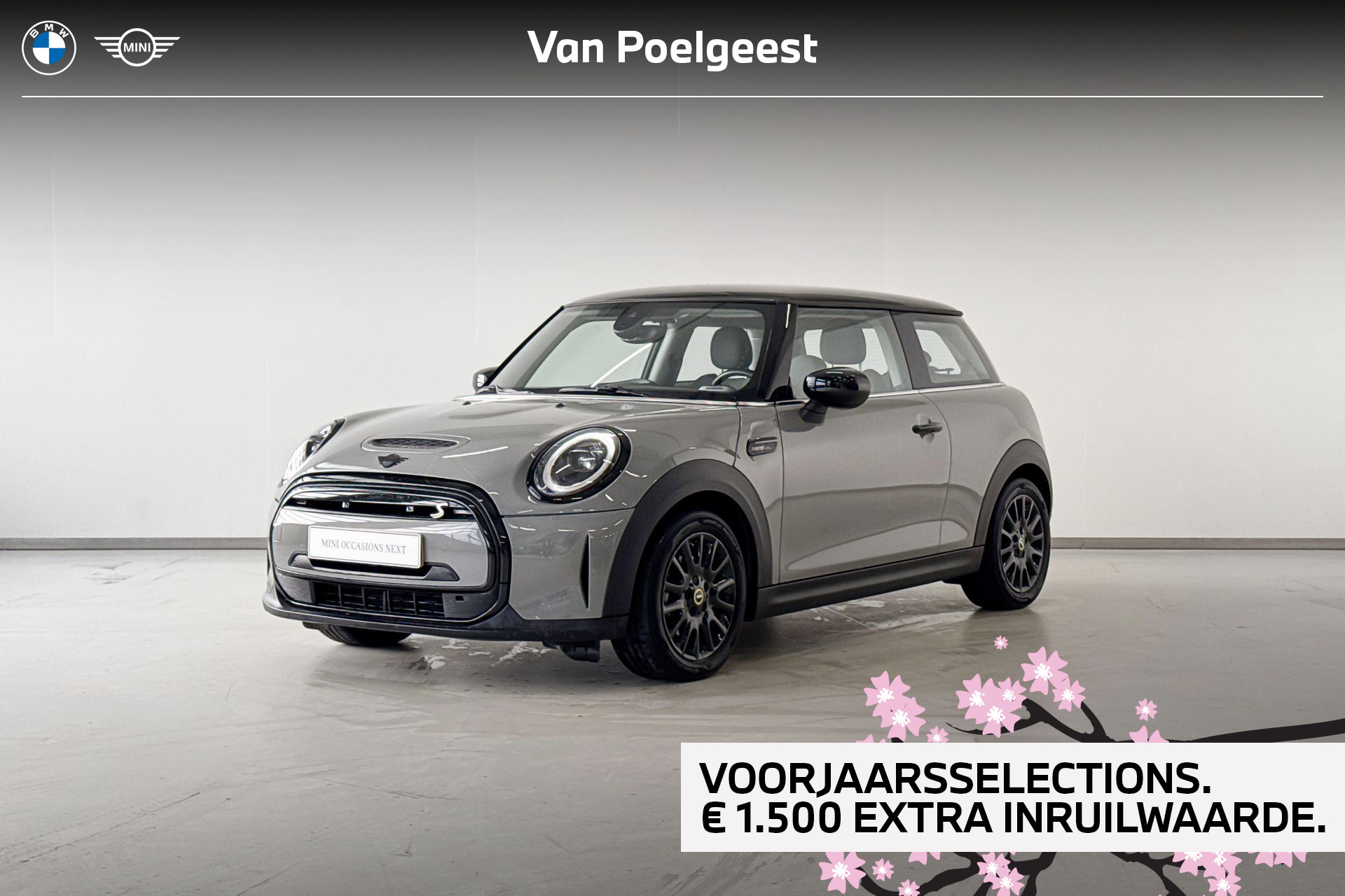 Foto van MINI COOPER SE