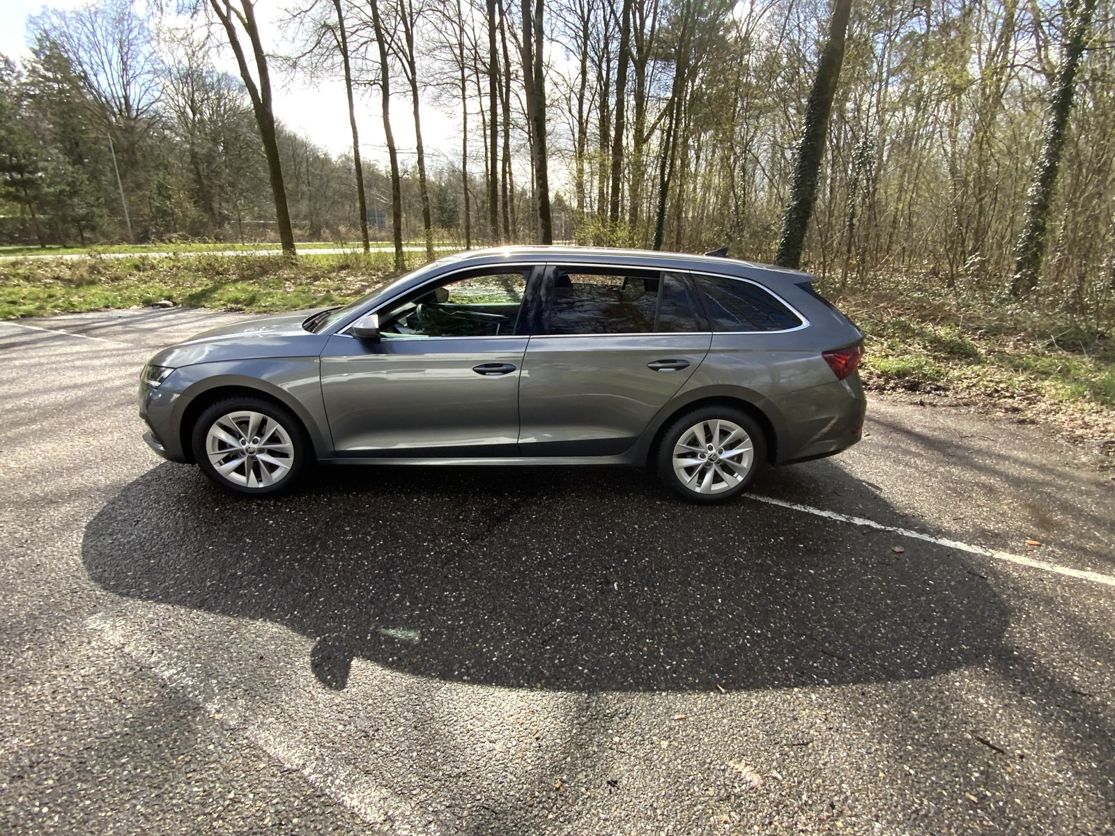 Inspectiefoto van Skoda Octavia Combi