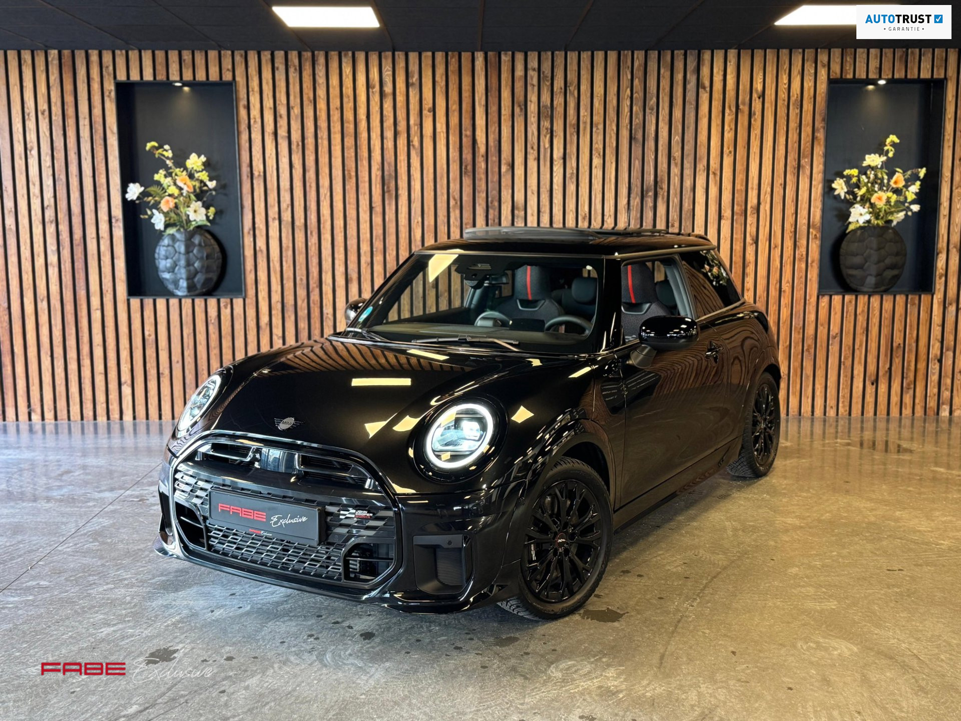 Foto van MINI COOPER C