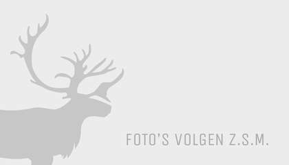 Foto van Saab 9-3 Sport Sedan