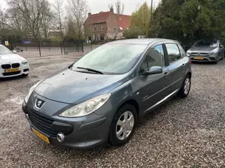 Foto van Peugeot 307