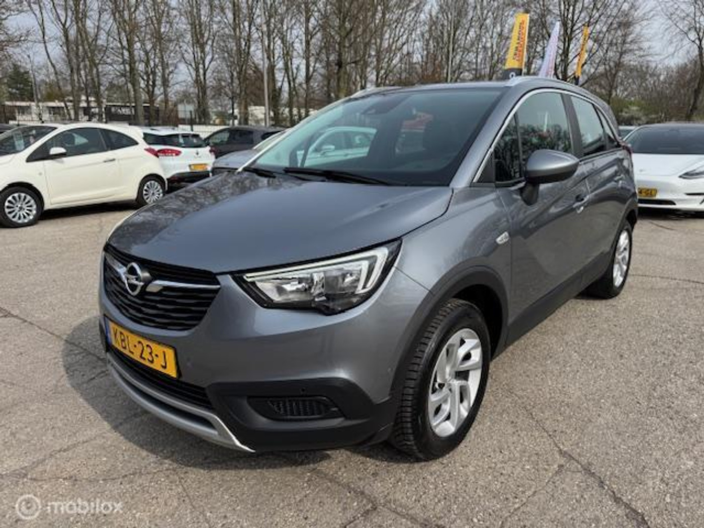 Foto van OPEL CROSSLAND X