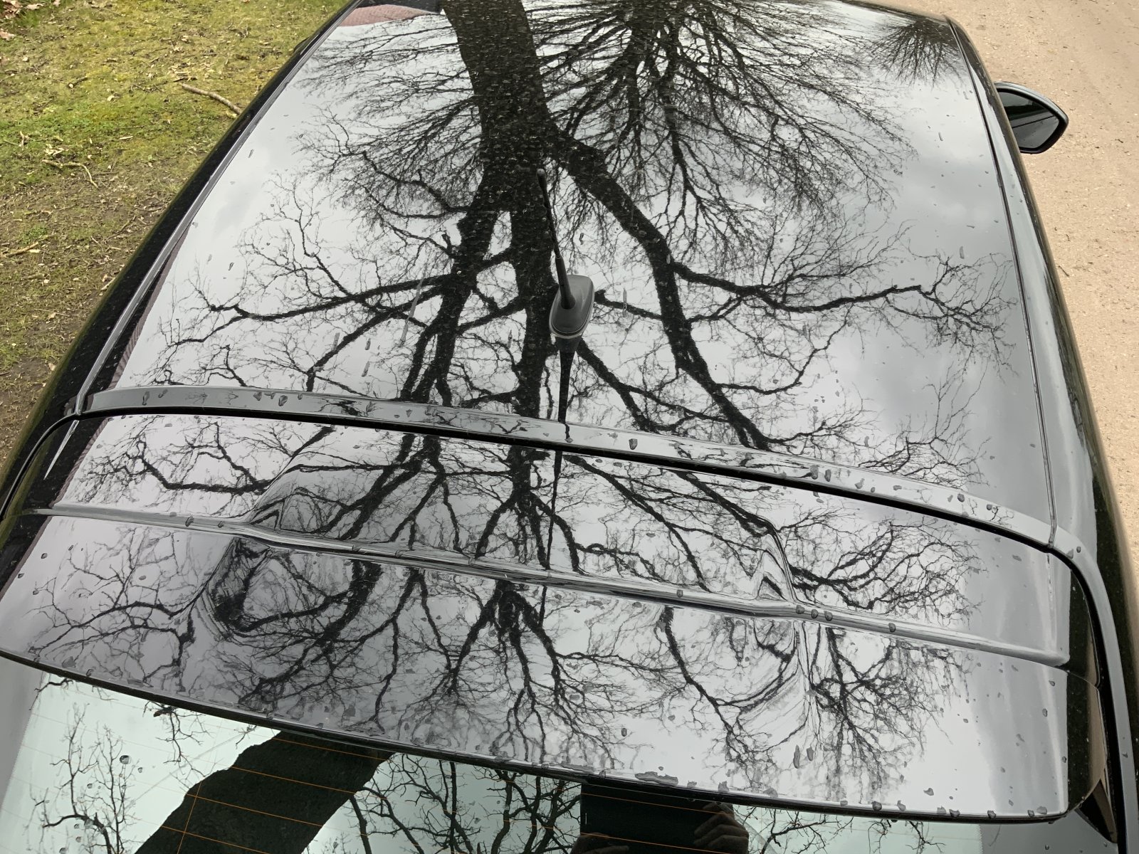 Inspectiefoto van Peugeot E-208