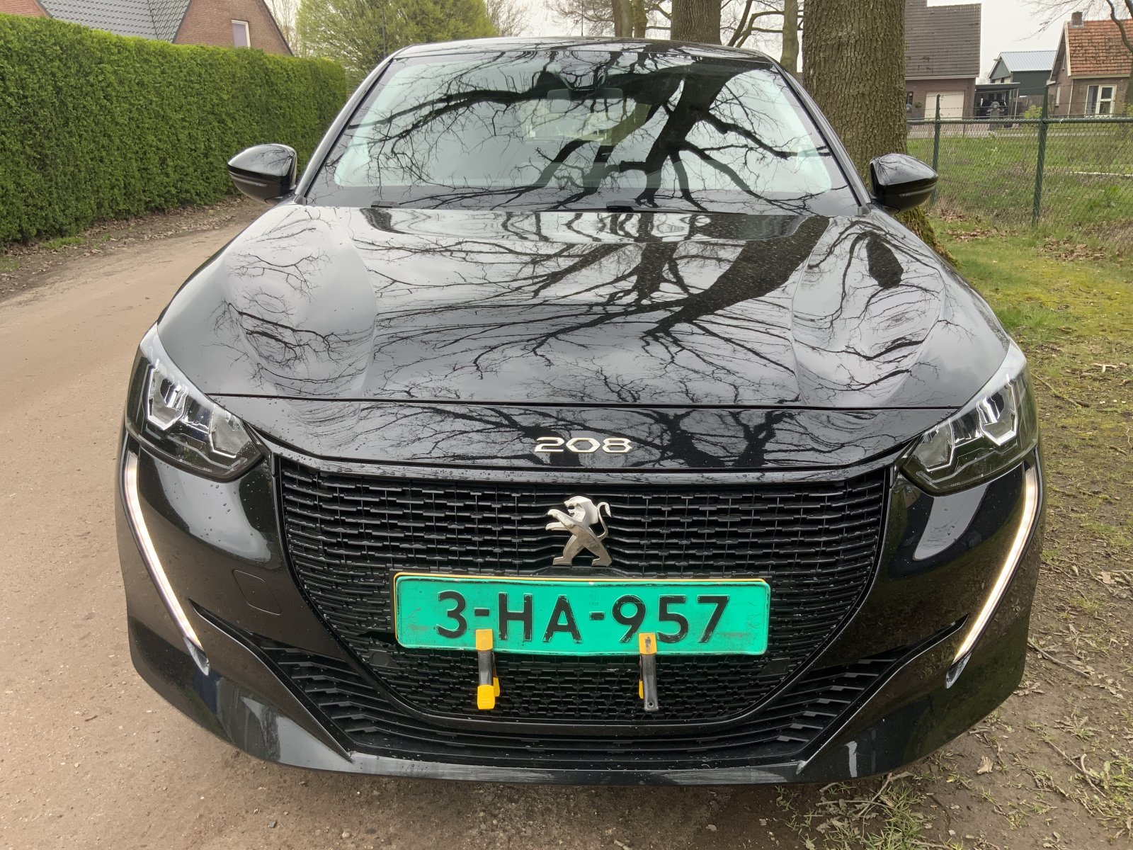 Inspectiefoto van Peugeot E-208