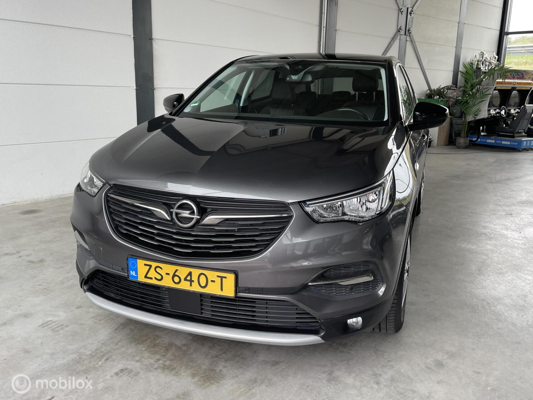 Foto van Opel Grandland X