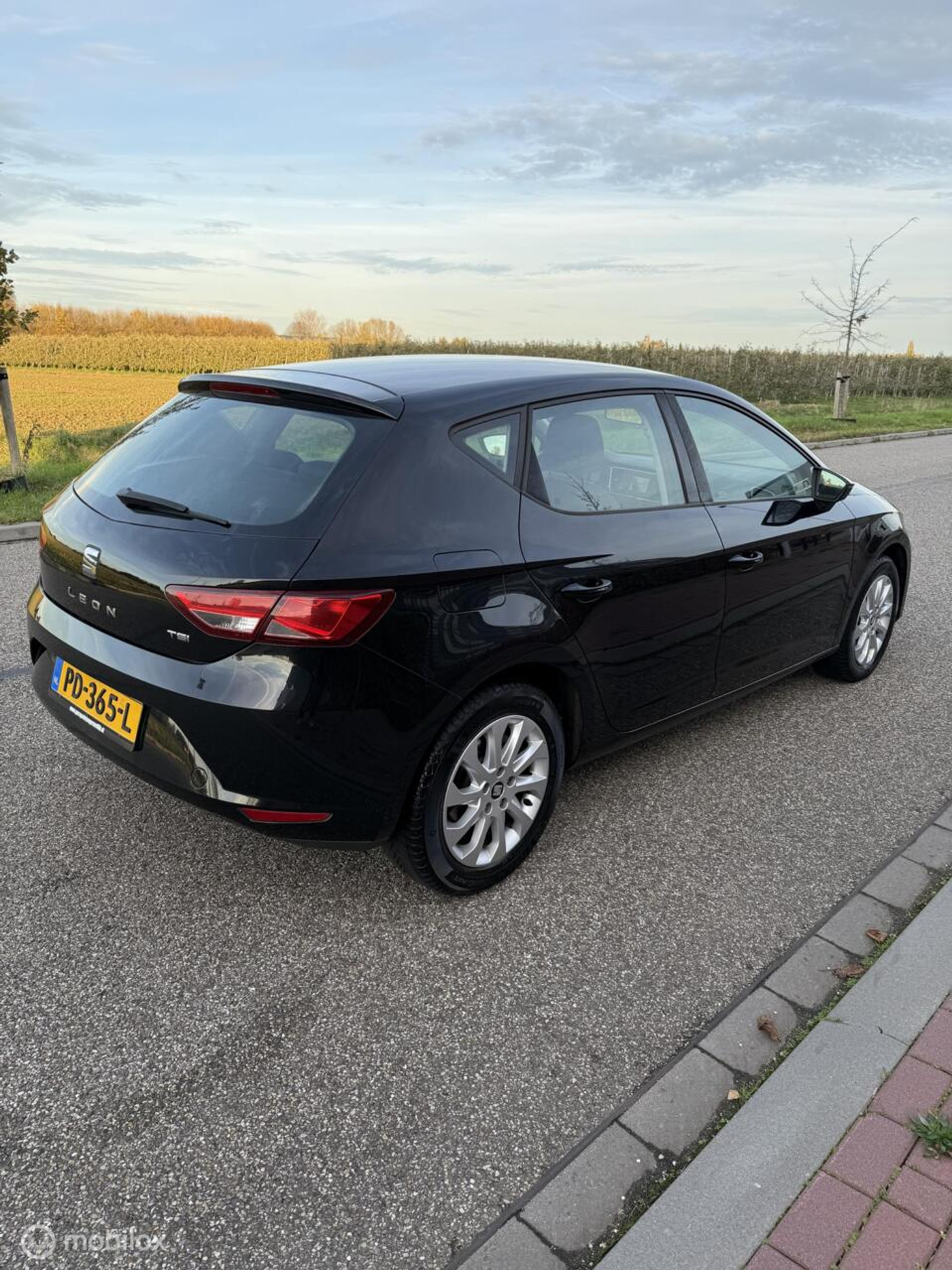 Foto van Seat Leon