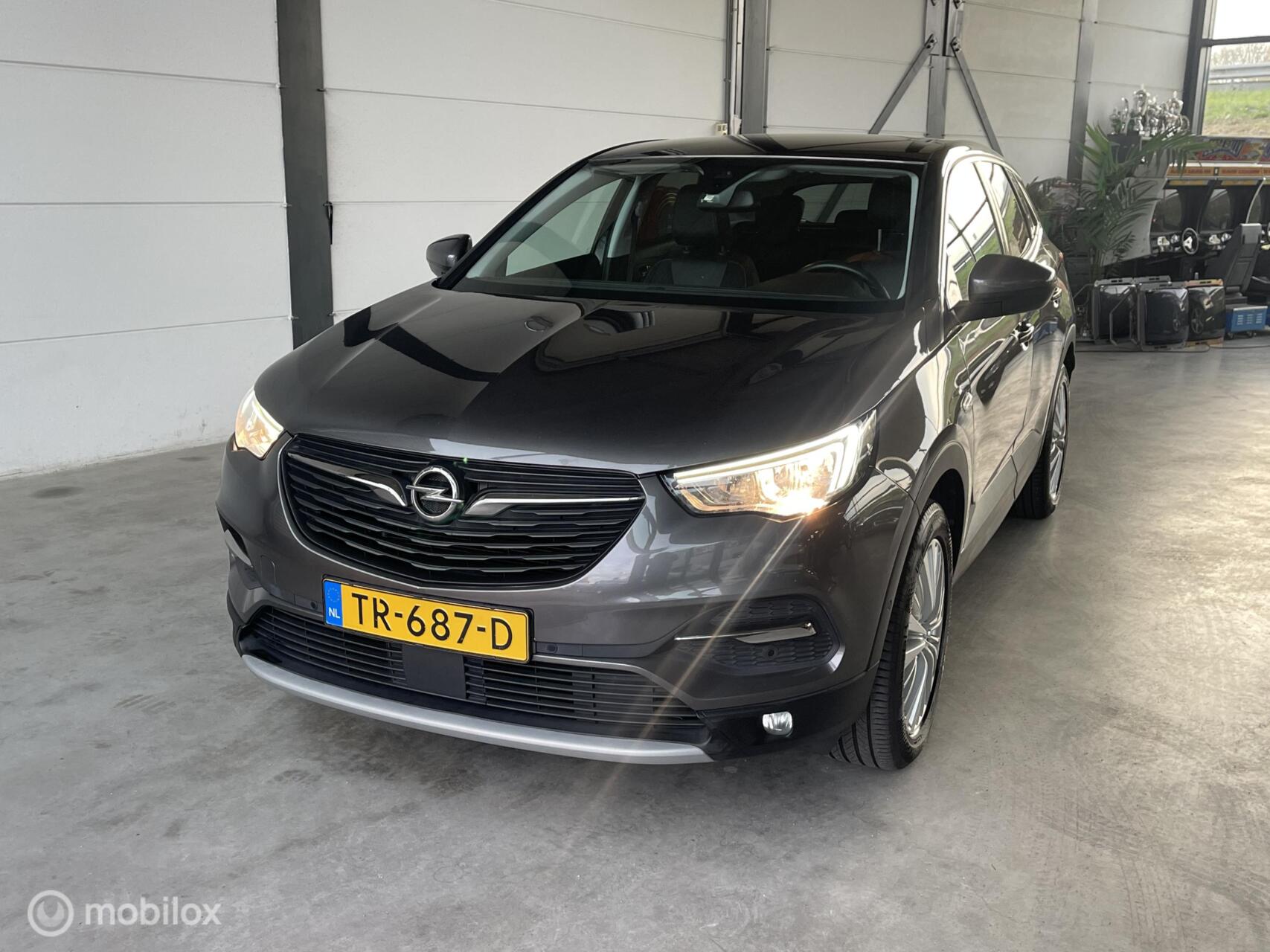 Foto van Opel Grandland X