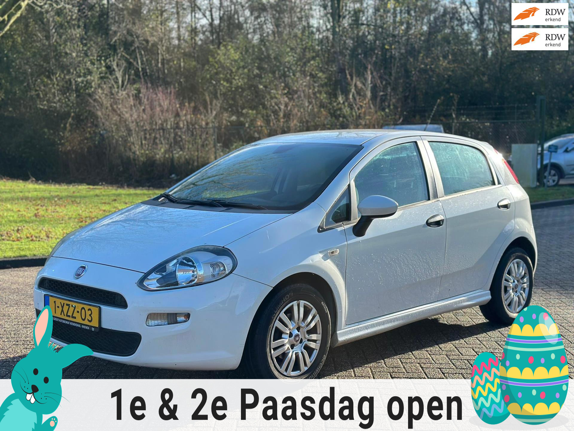 Foto van FIAT FIAT PUNTO