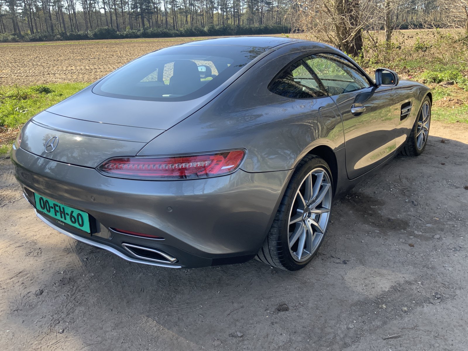 Inspectiefoto van Mercedes-Benz AMG GT
