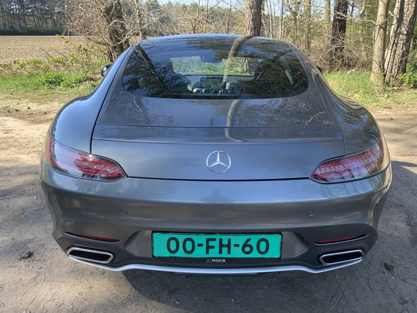 Inspectiefoto van Mercedes-Benz AMG GT