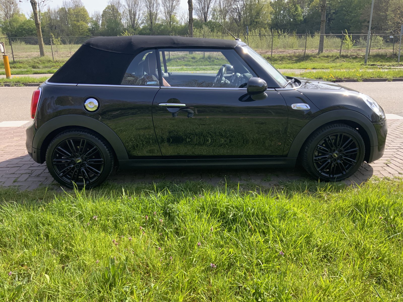 Inspectiefoto van Mini Mini Cabrio