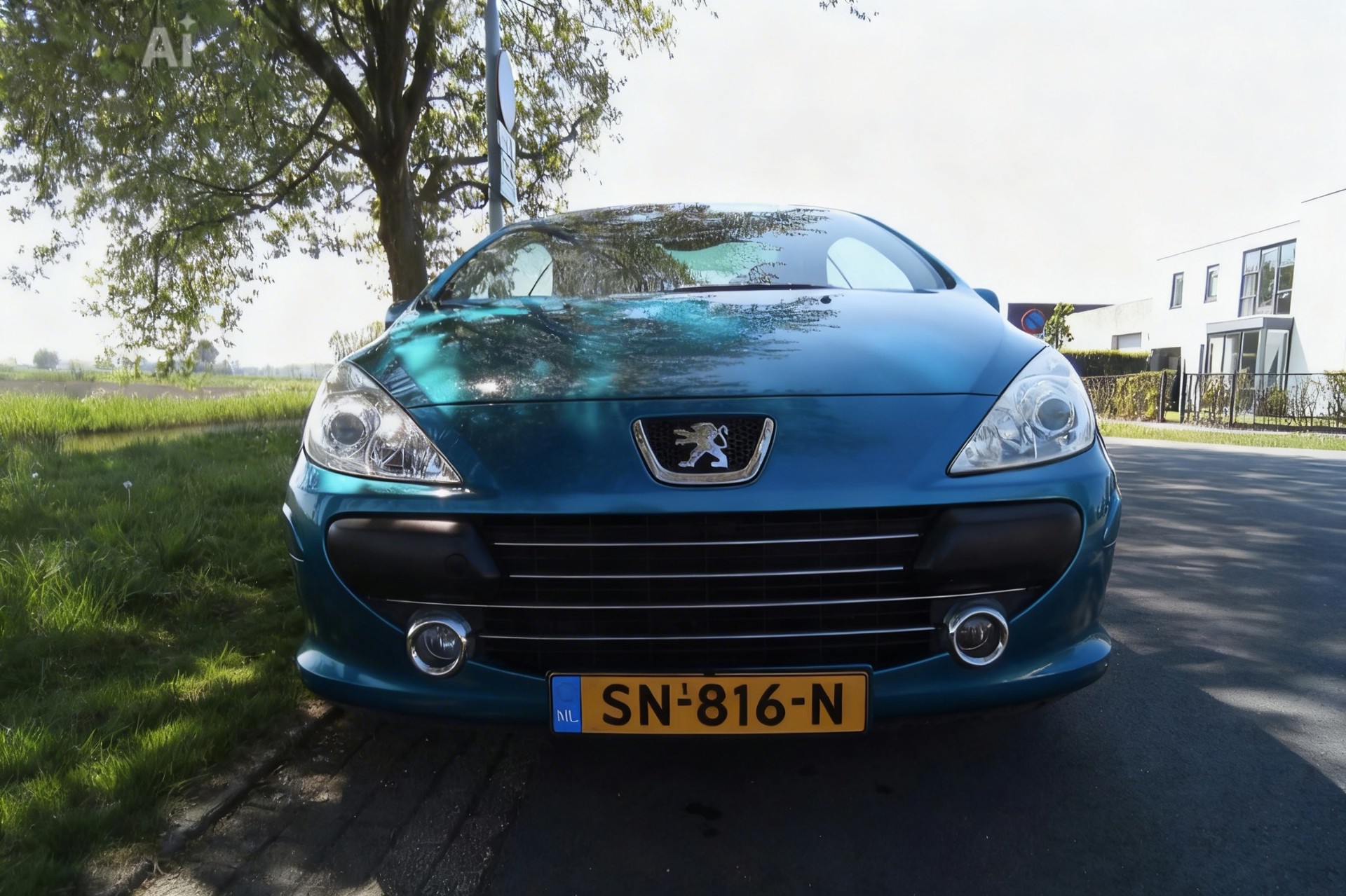 Foto van Peugeot 307 CC