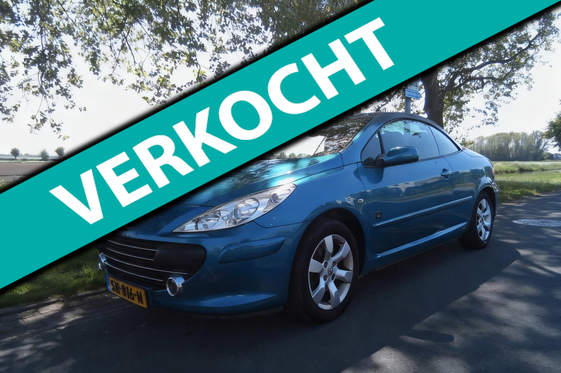 Foto van Peugeot 307 CC