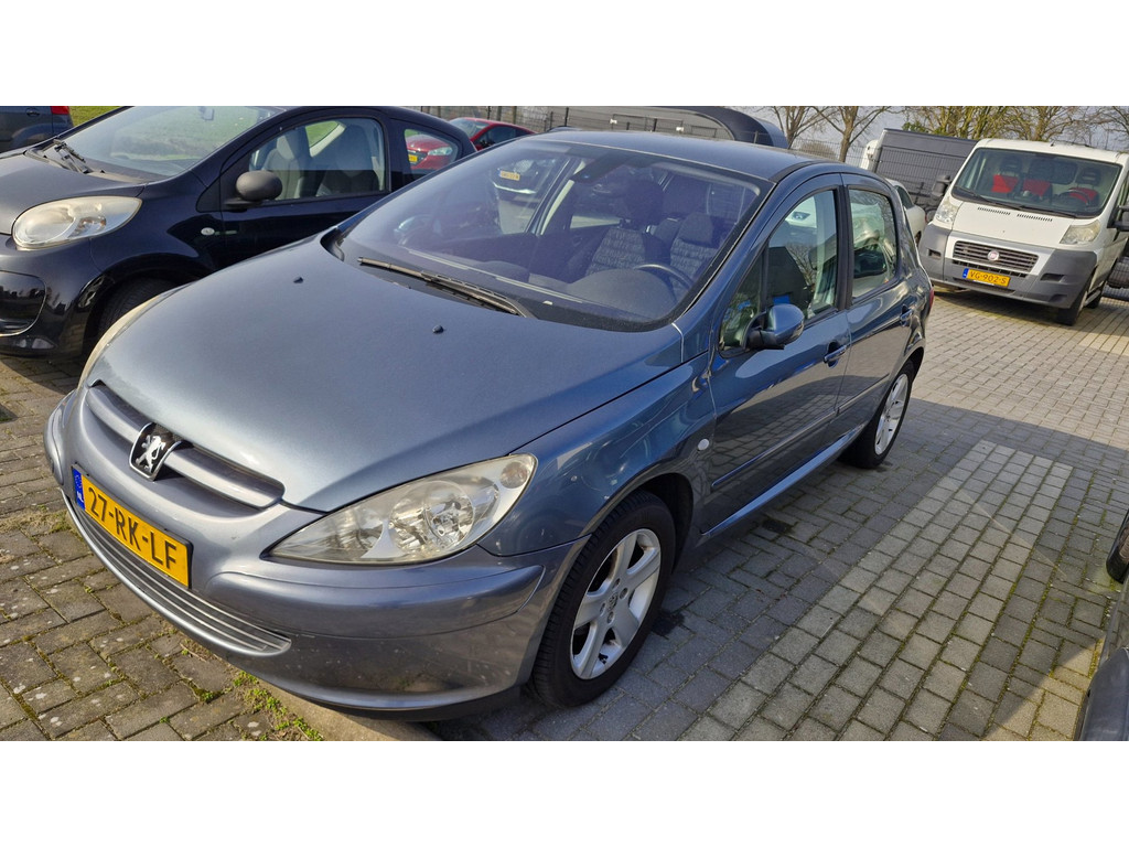 Foto van Peugeot 307