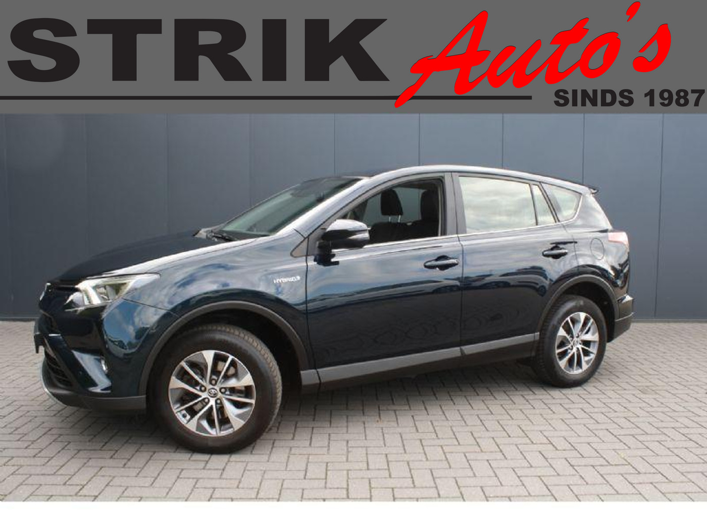 Foto van TOYOTA TOYOTA RAV4