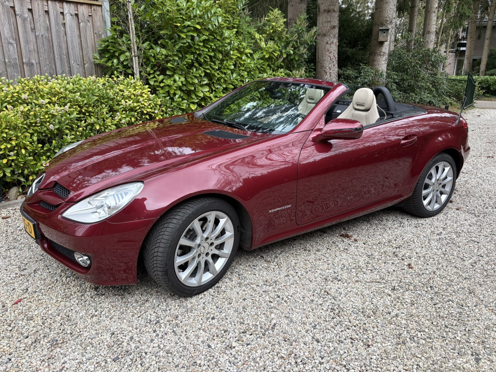 Inspectiefoto van Mercedes-Benz Slk-klasse