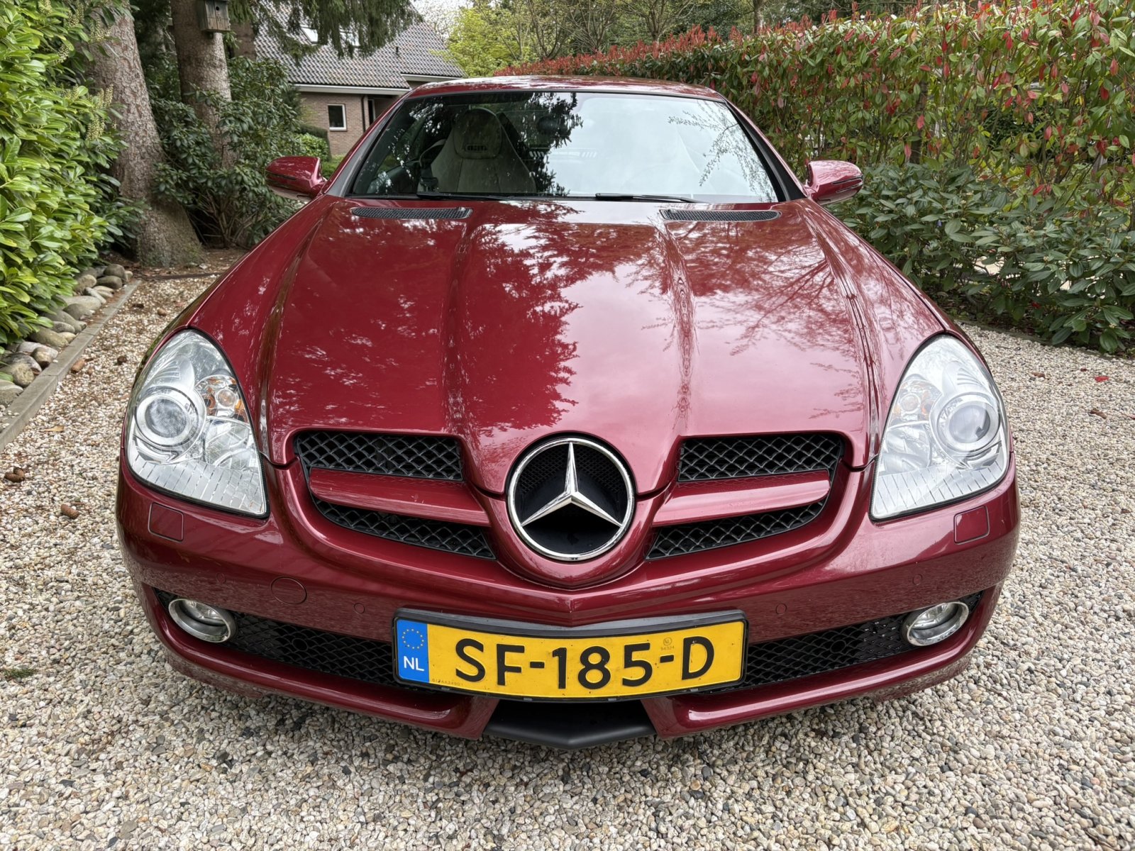 Inspectiefoto van Mercedes-Benz Slk-klasse