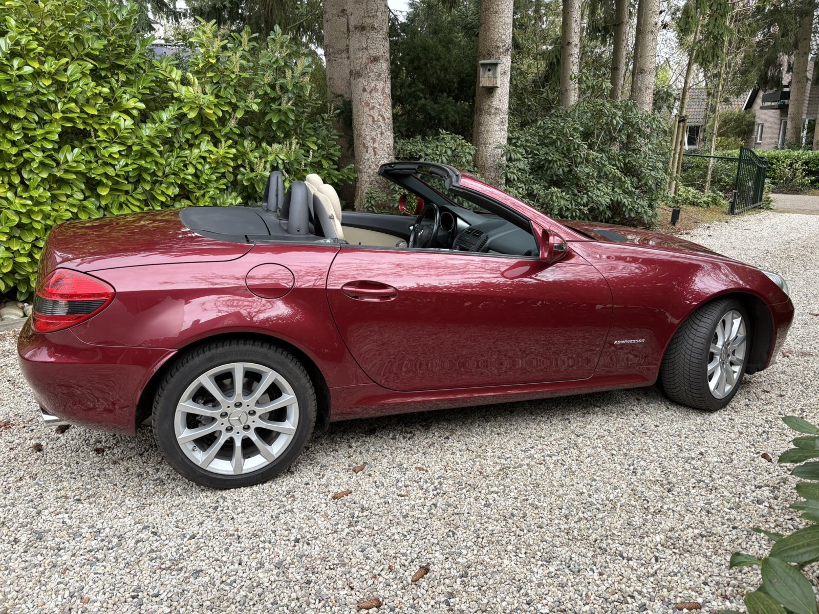 Inspectiefoto van Mercedes-Benz Slk-klasse