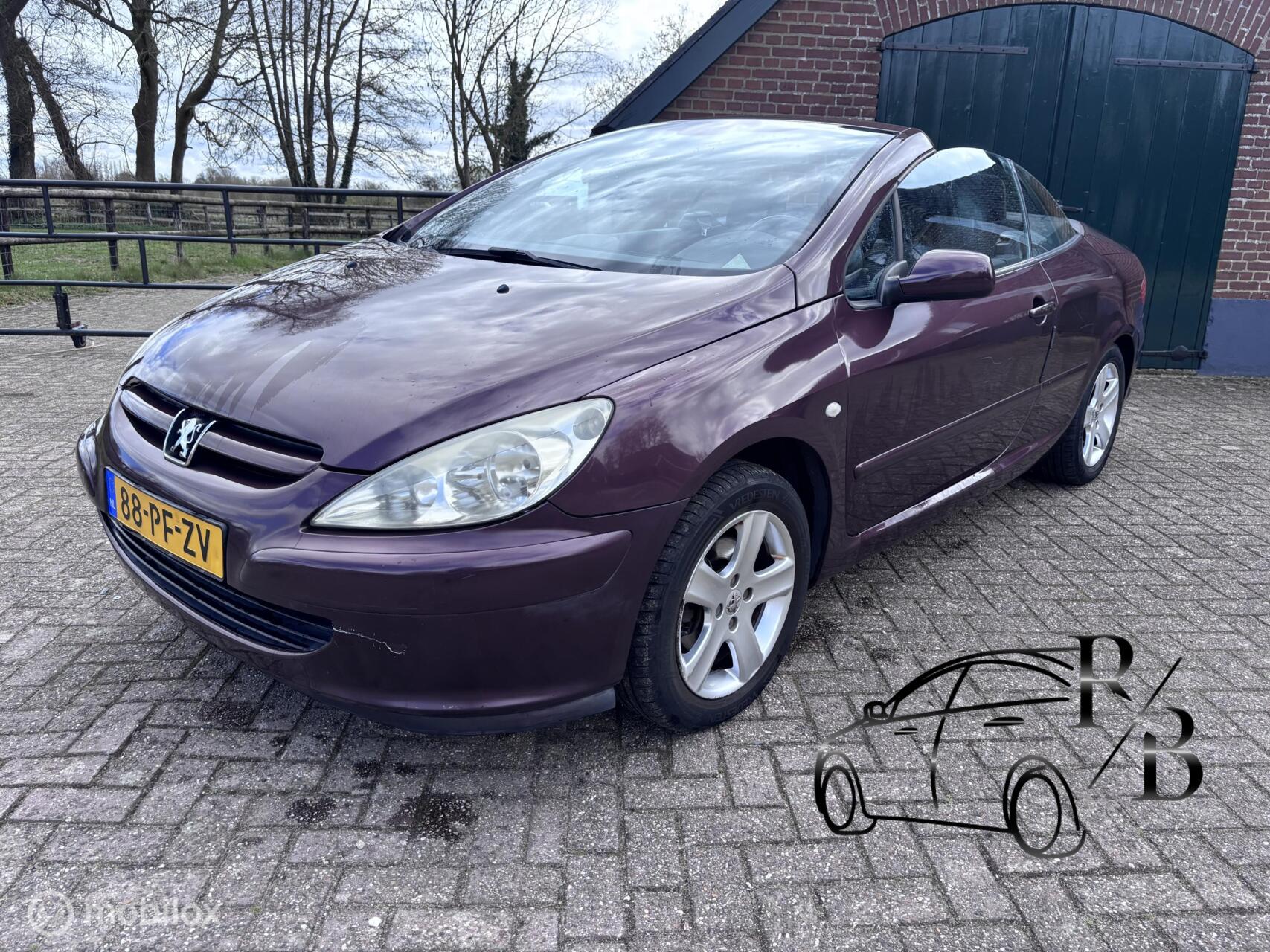 Foto van PEUGEOT 307