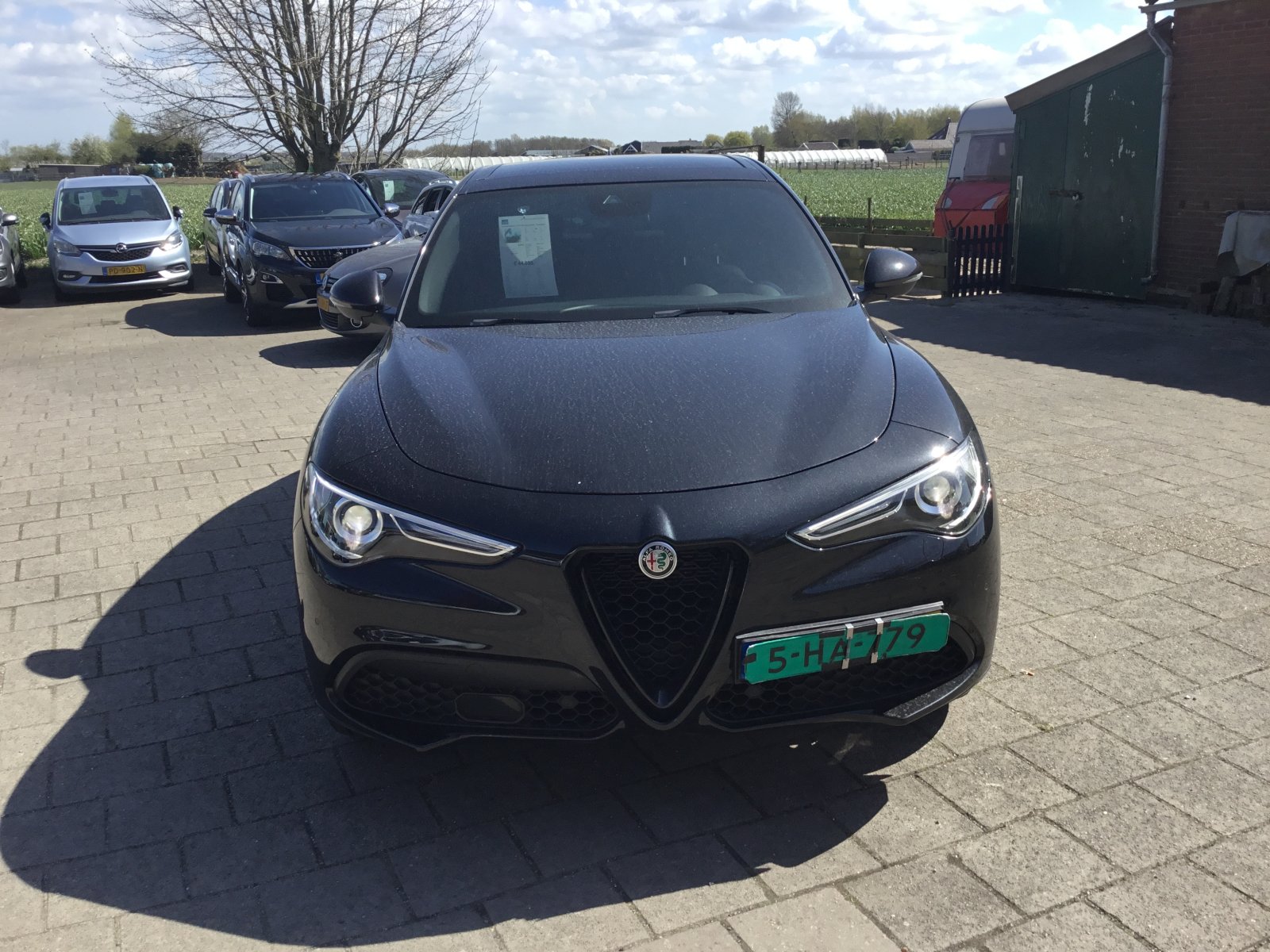 Inspectiefoto van Alfa Romeo Stelvio