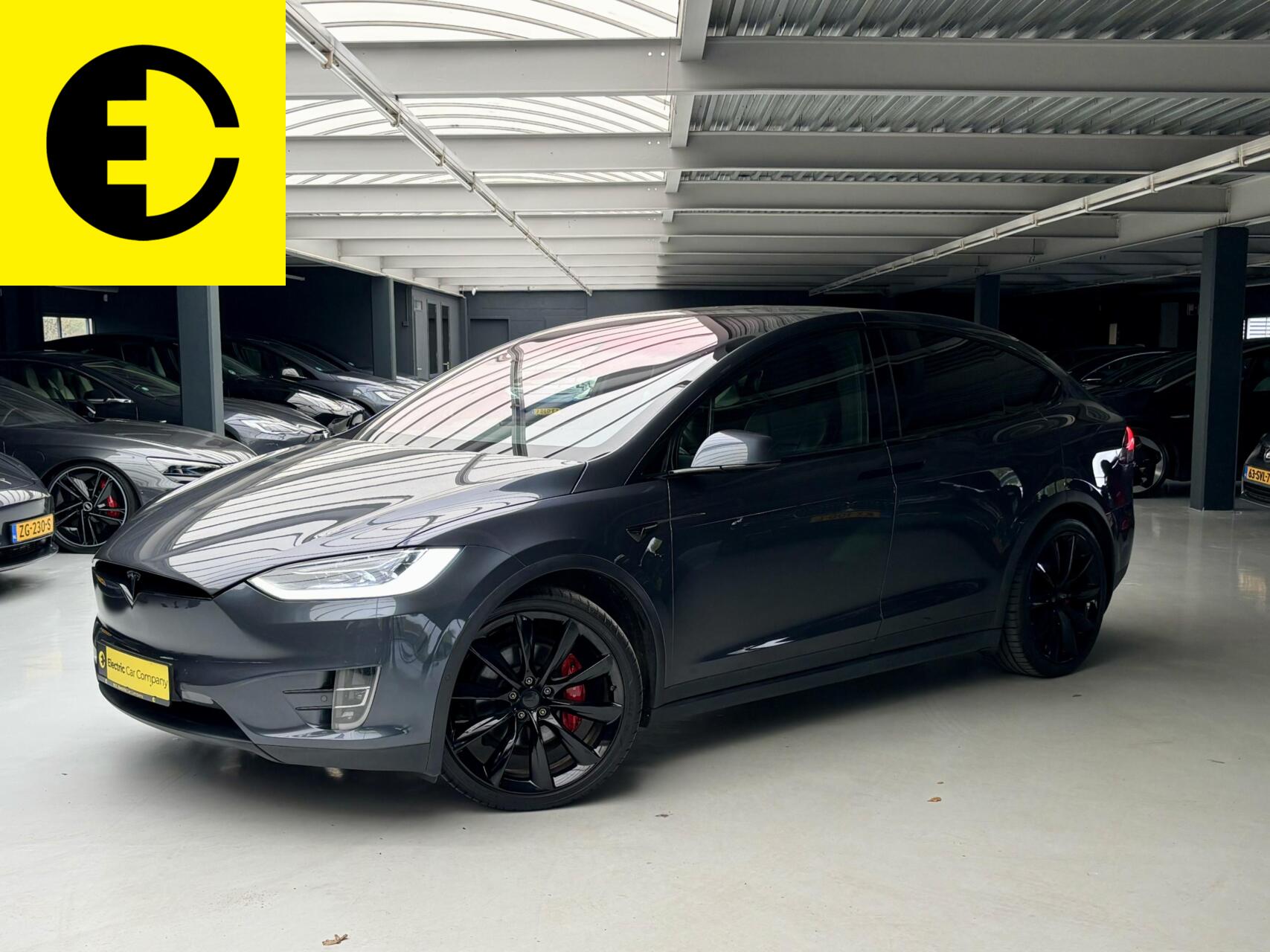 Foto van Tesla Model X