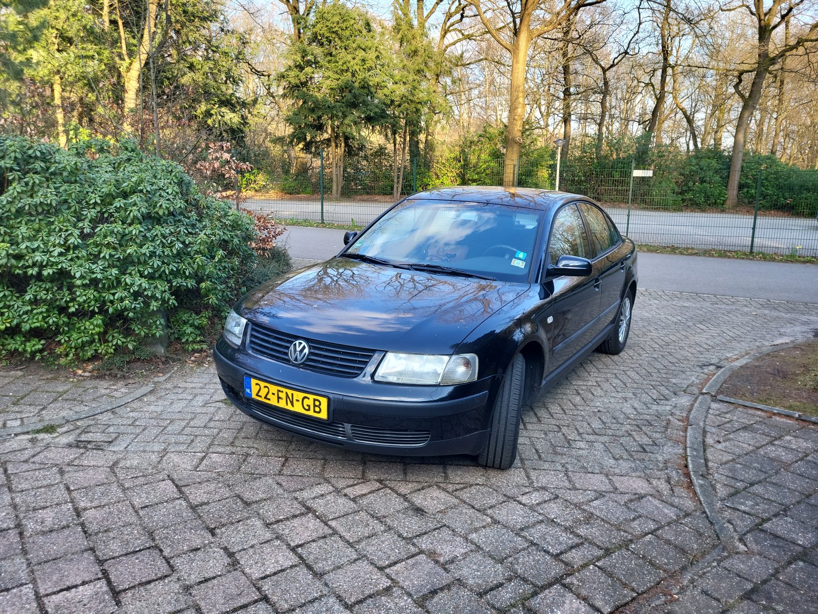 Inspectiefoto van Volkswagen Passat
