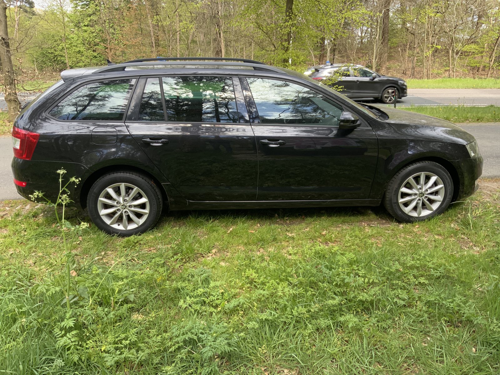 Inspectiefoto van Skoda Octavia Combi