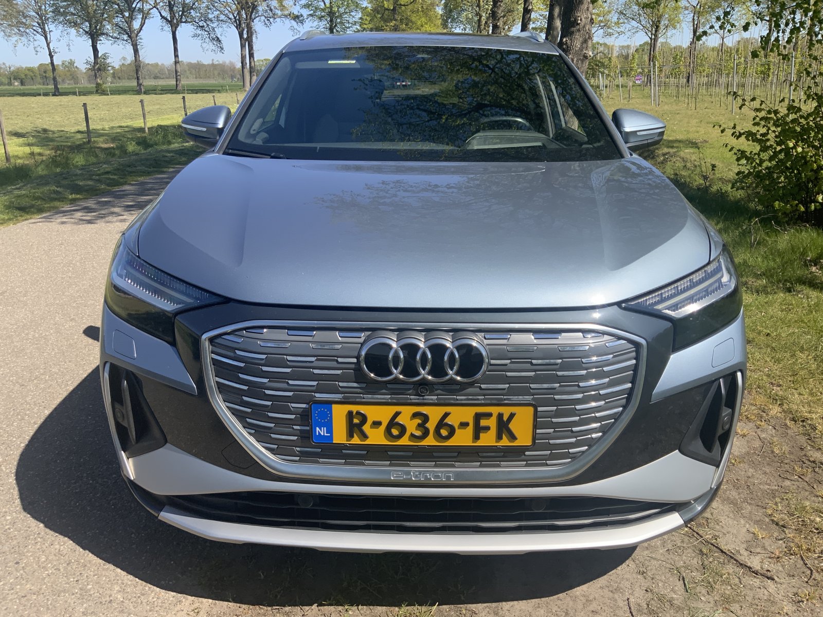 Inspectiefoto van Audi Q4 E-tron