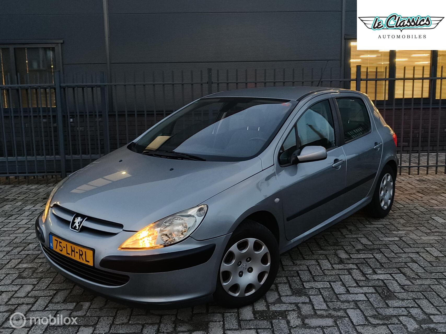 Foto van PEUGEOT 307
