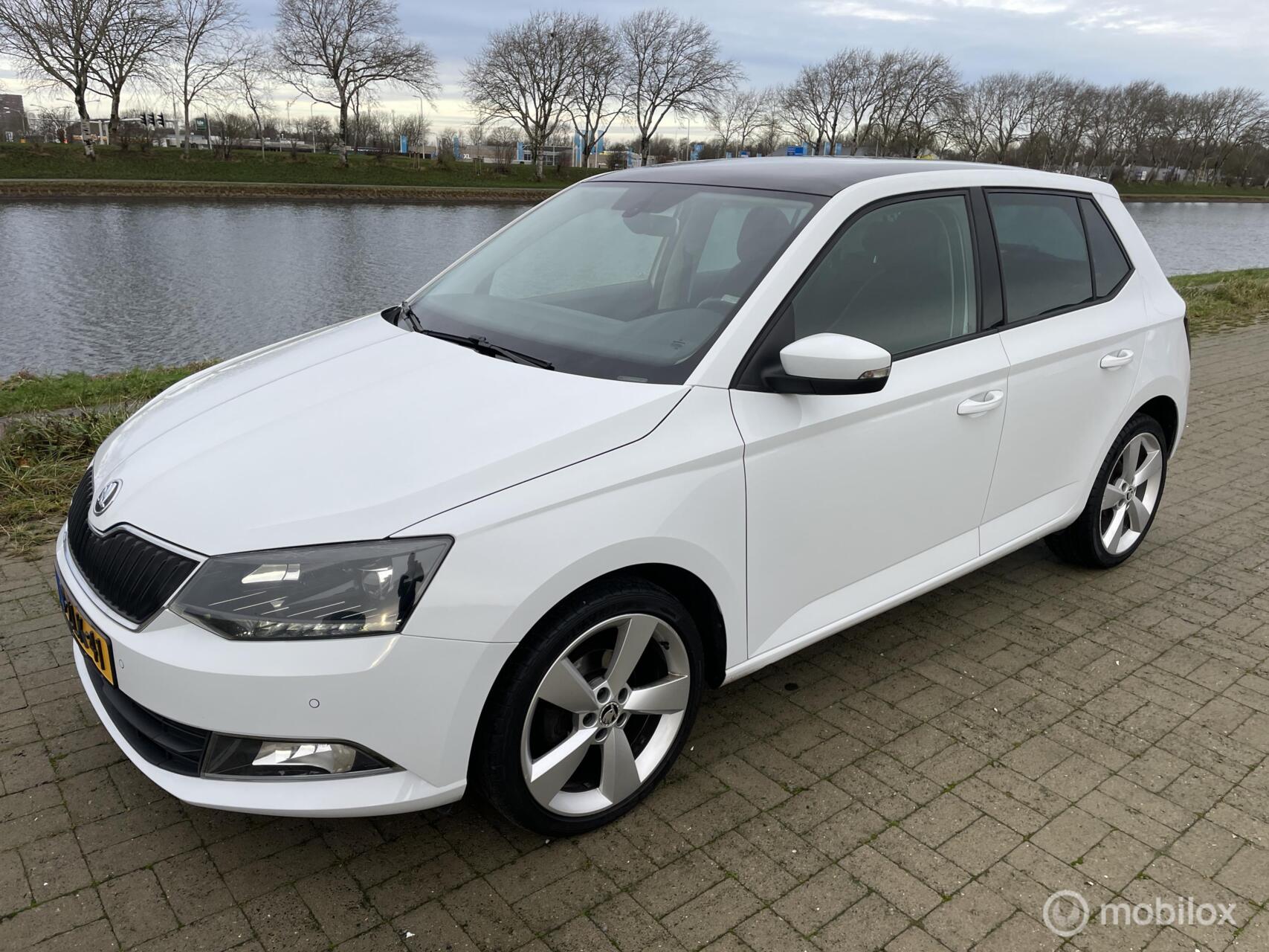 Foto van SKODA FABIA