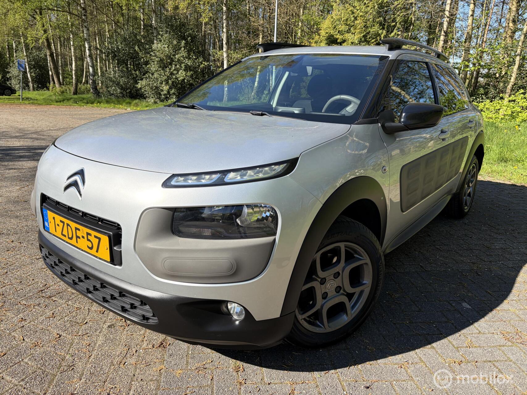 Foto van CITROEN C4 CACTUS