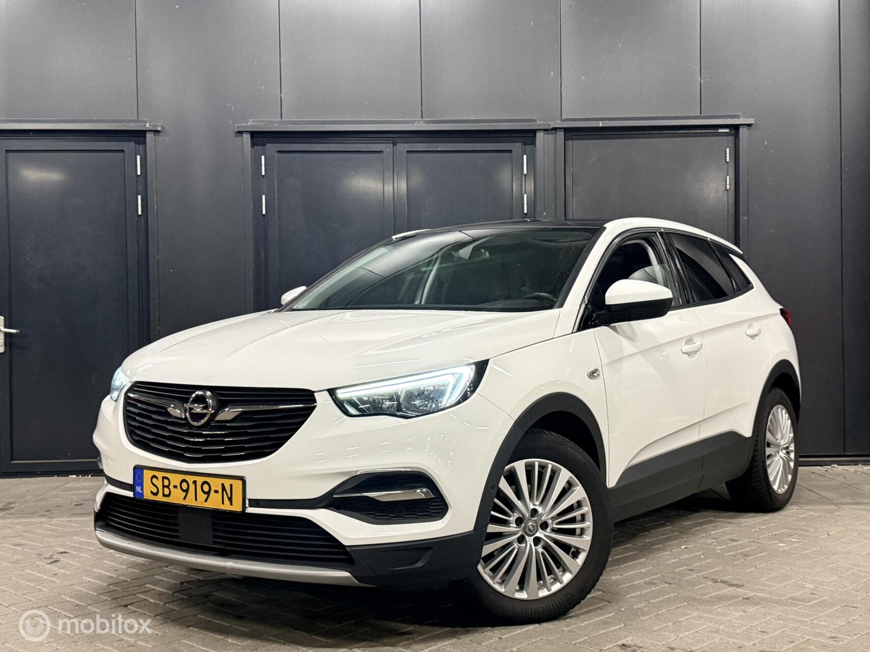 Foto van OPEL GRANDLAND X