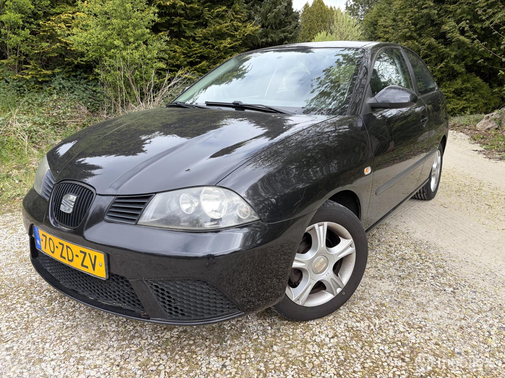 Foto van SEAT IBIZA
