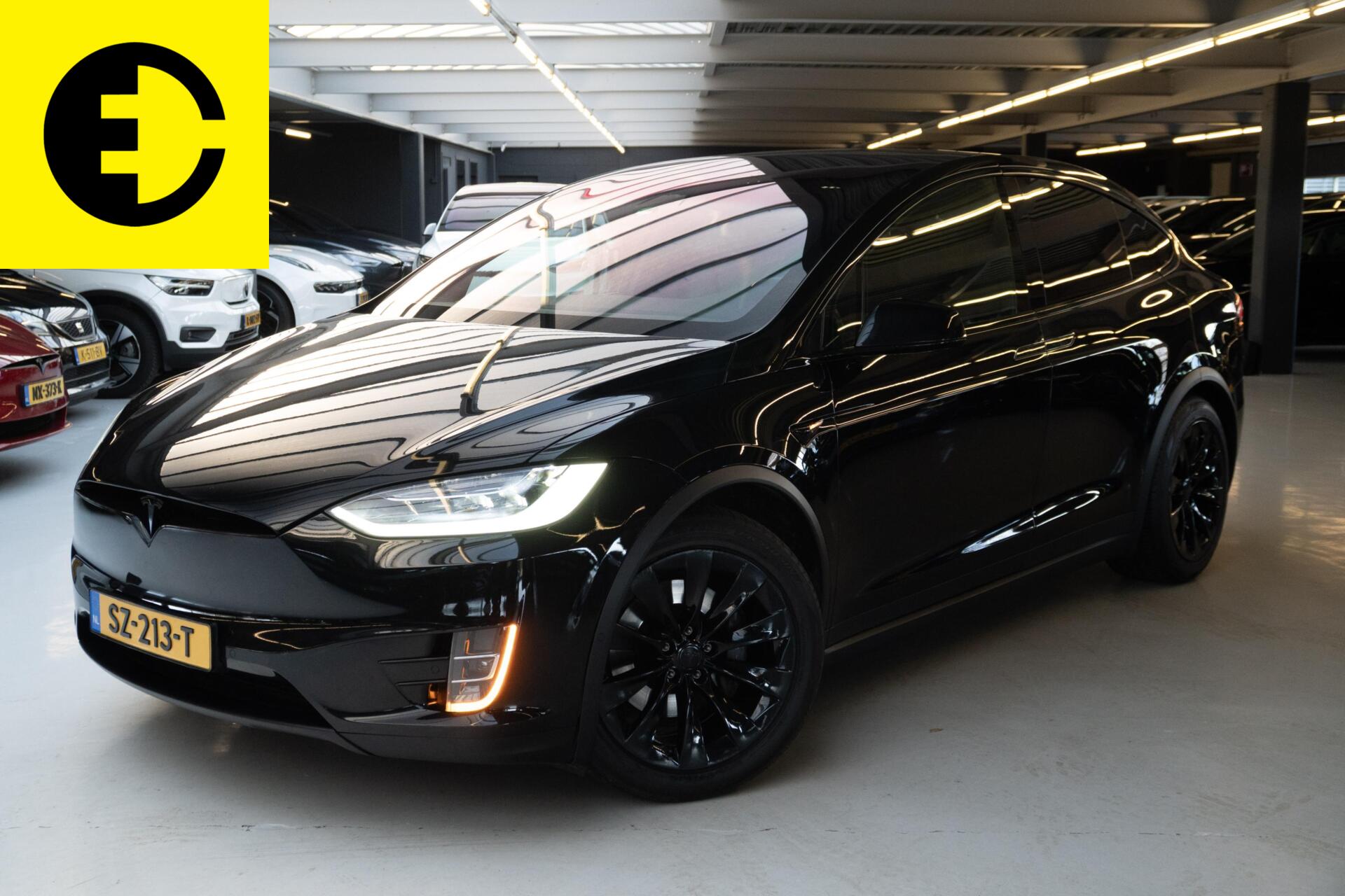 Foto van Tesla Model X