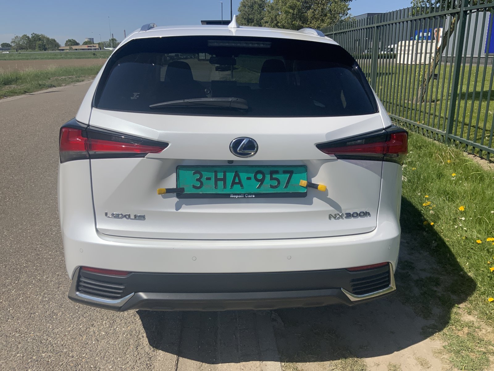 Inspectiefoto van Lexus NX
