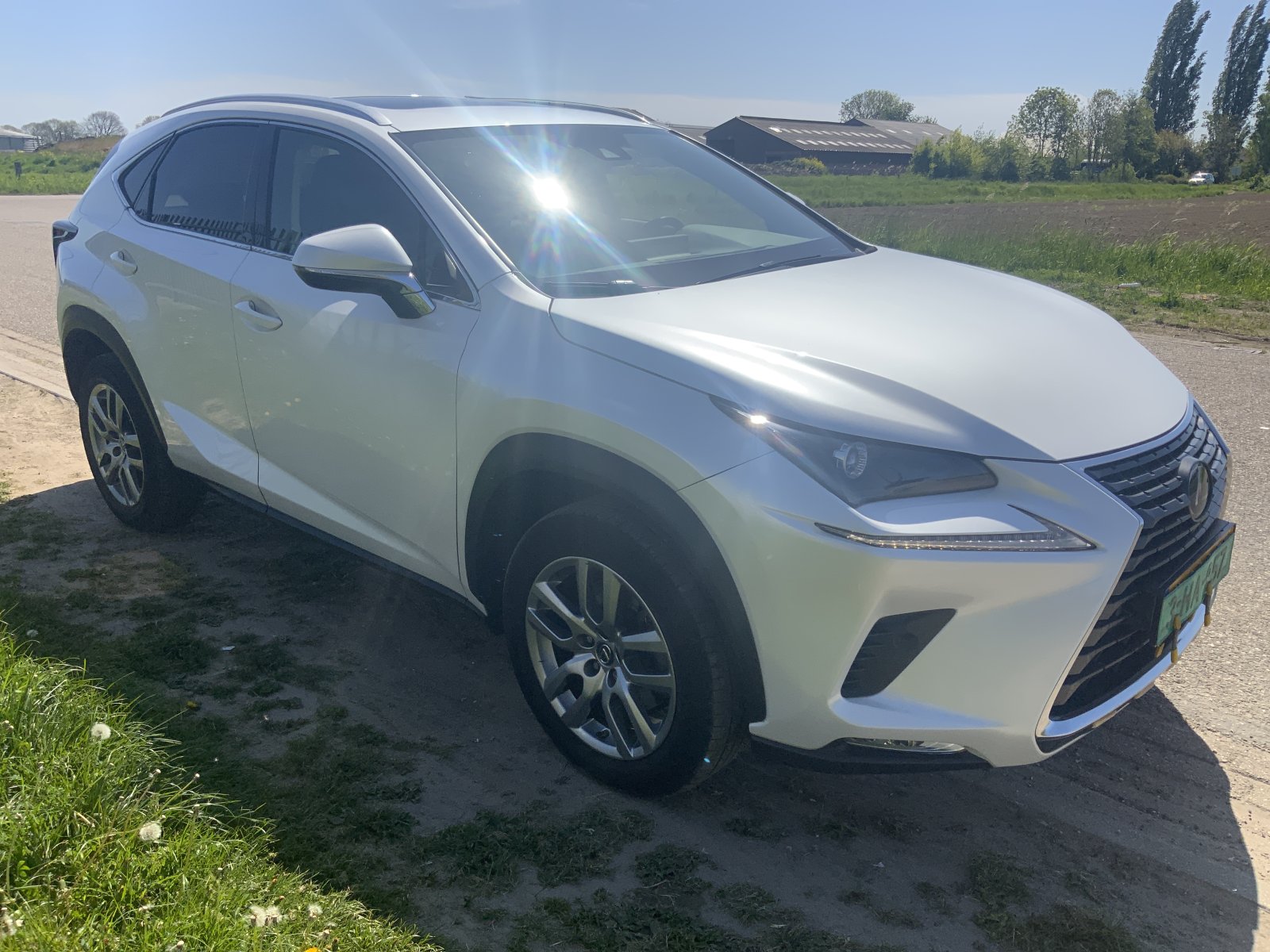 Inspectiefoto van Lexus NX