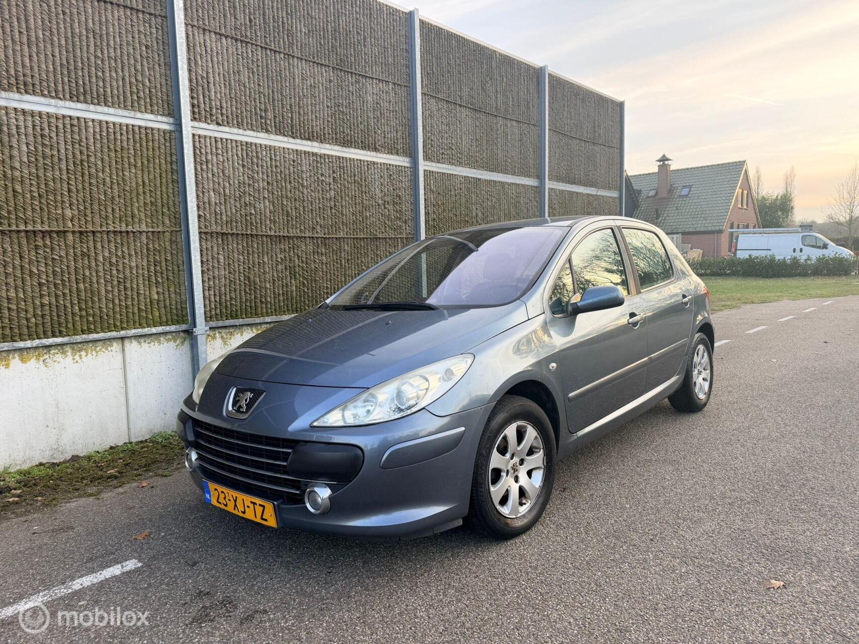 Foto van PEUGEOT 307