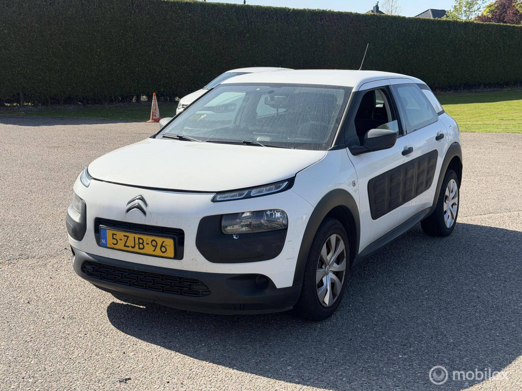 Foto van CITROEN C4 CACTUS
